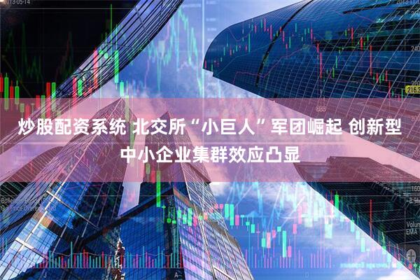 炒股配资系统 北交所“小巨人”军团崛起 创新型中小企业集群效应凸显